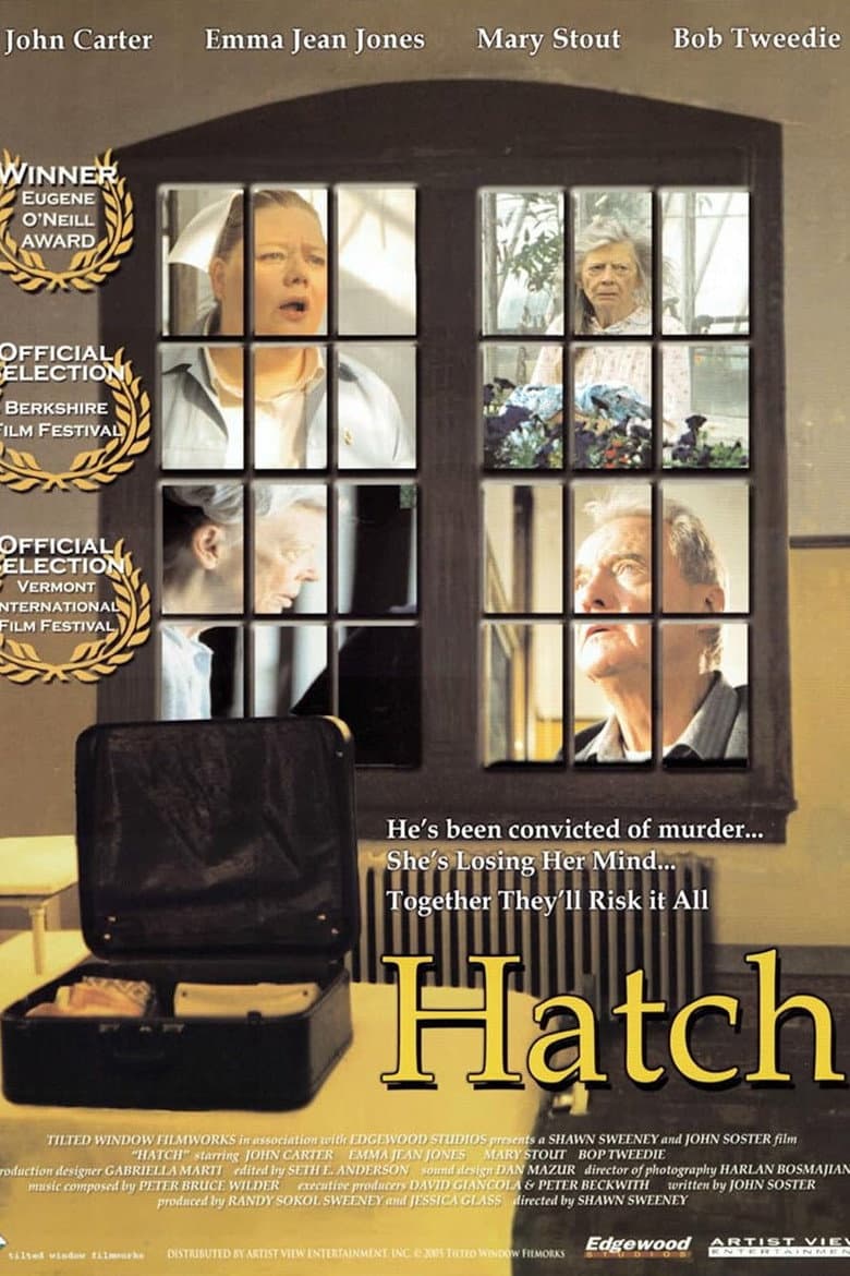 Swimming on the Moon poster