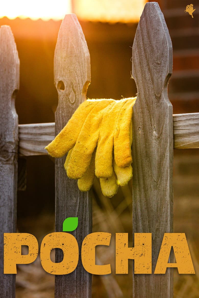 Pocha poster