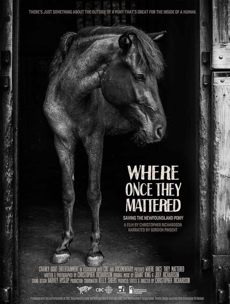 Where Once They Mattered poster