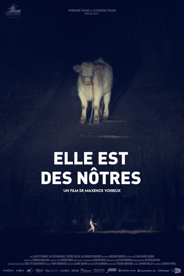 Elle est des nôtres poster