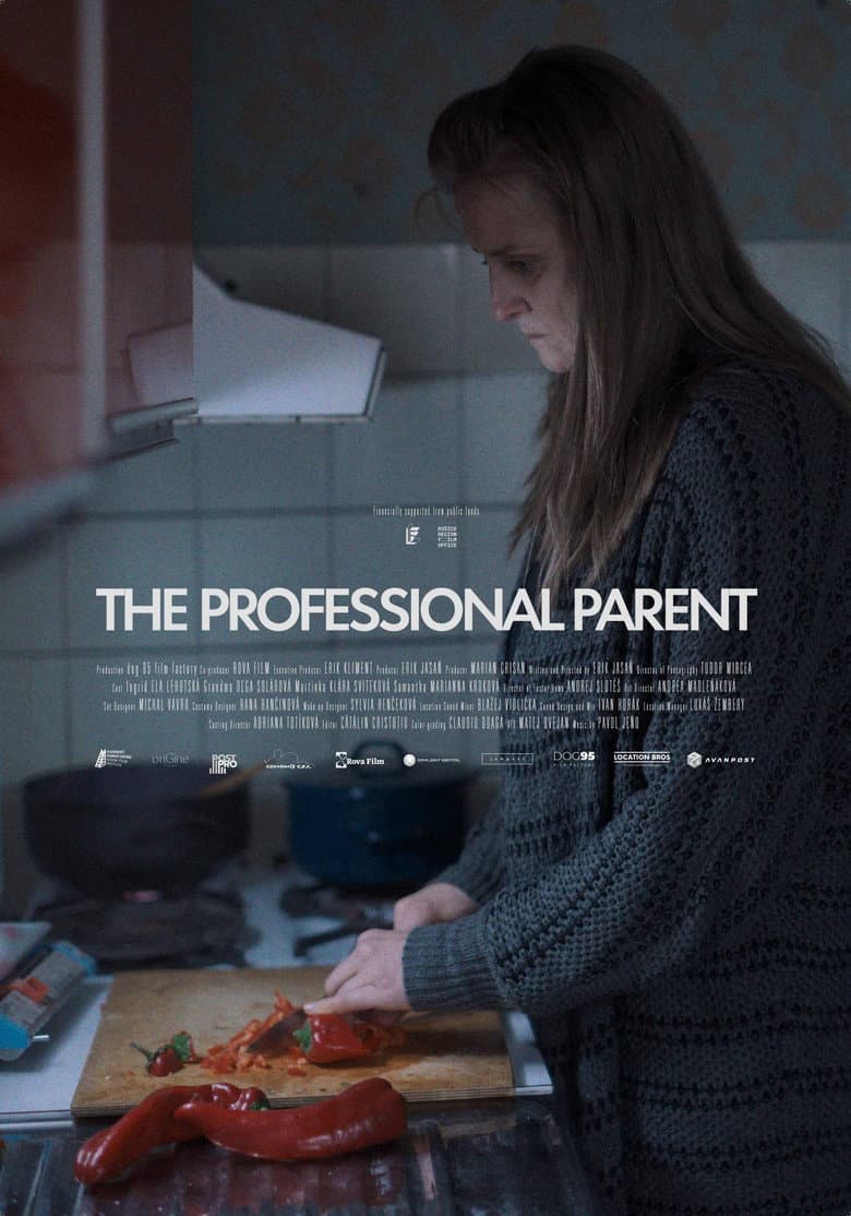 The Professional Parent poster