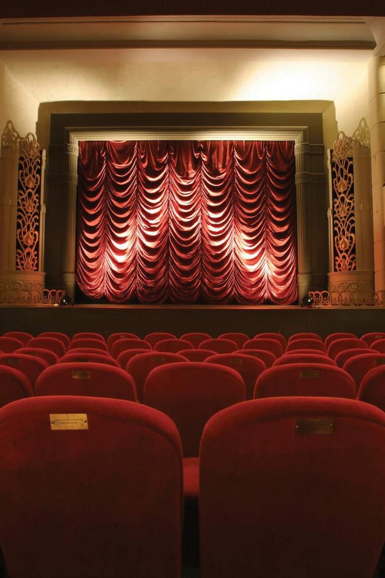 The Dream Palace: A People's History of Tyneside Cinema poster