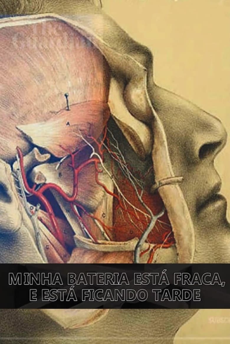 Minha Bateria Está Fraca e Está Ficando Tarde poster