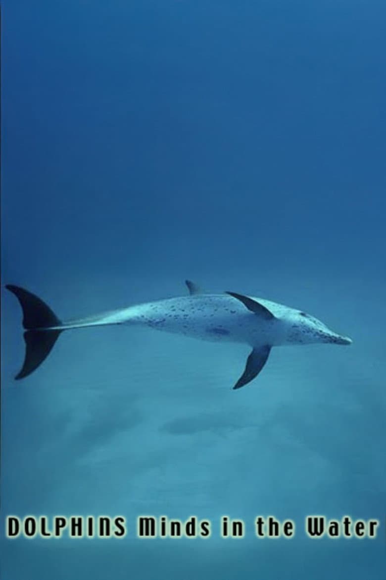 Dolphins: Minds in the Water poster