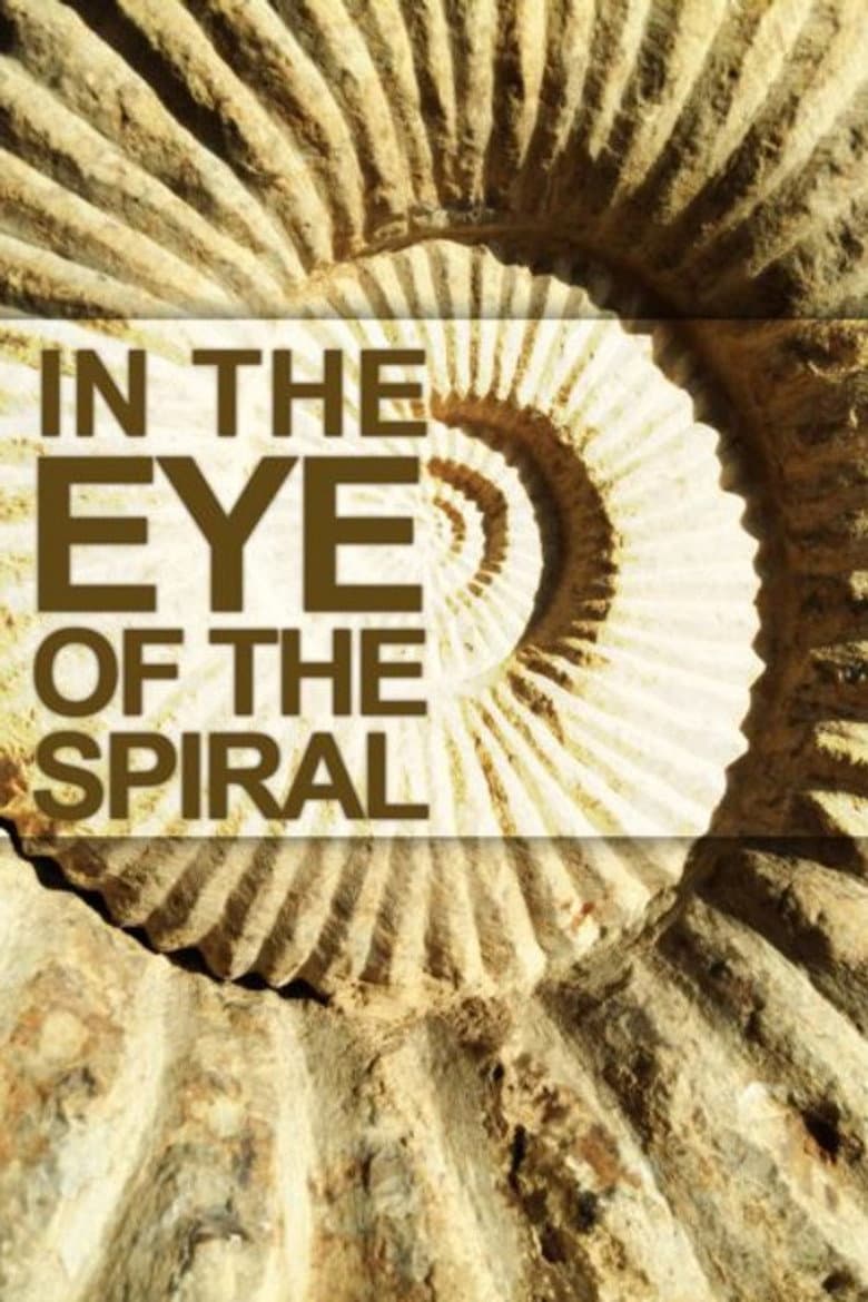 In the Eye of the Spiral poster