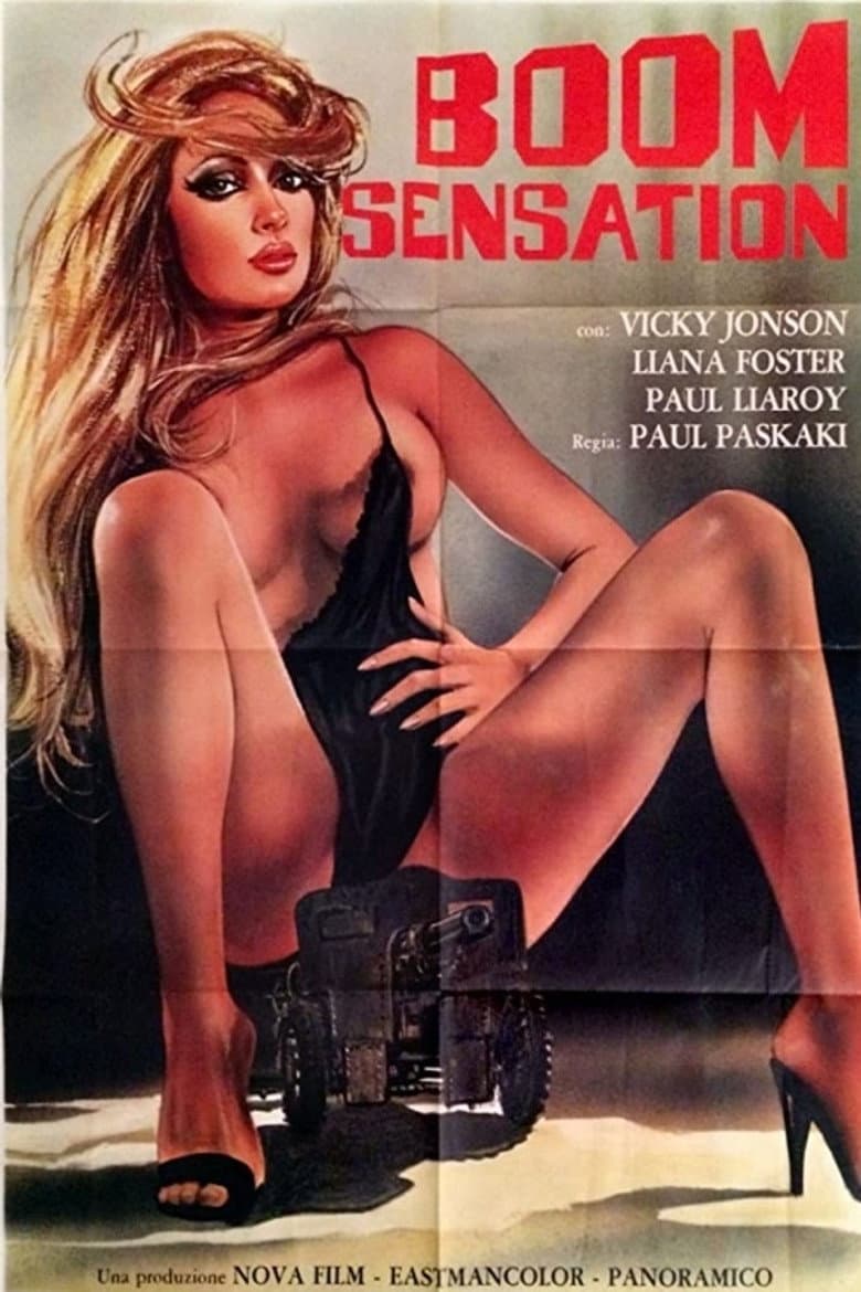 Boom Sensation poster