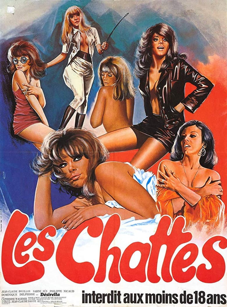 The Sextrovert poster