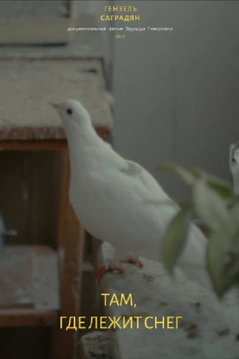 There Where The Snow Lies poster