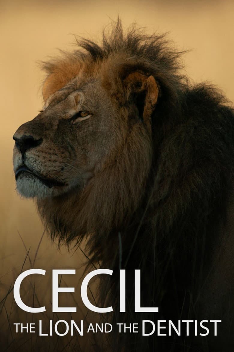 Cecil poster