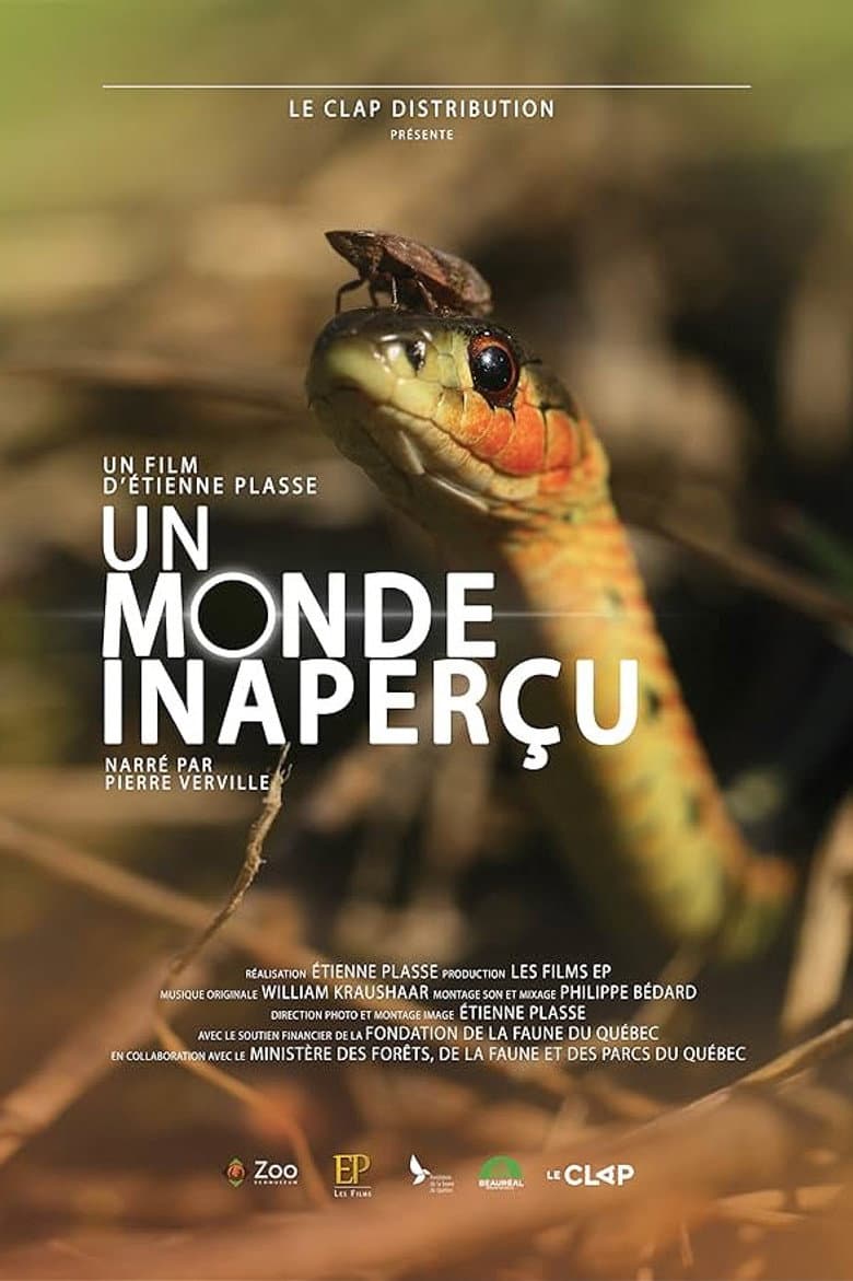 Un monde inaperçu poster