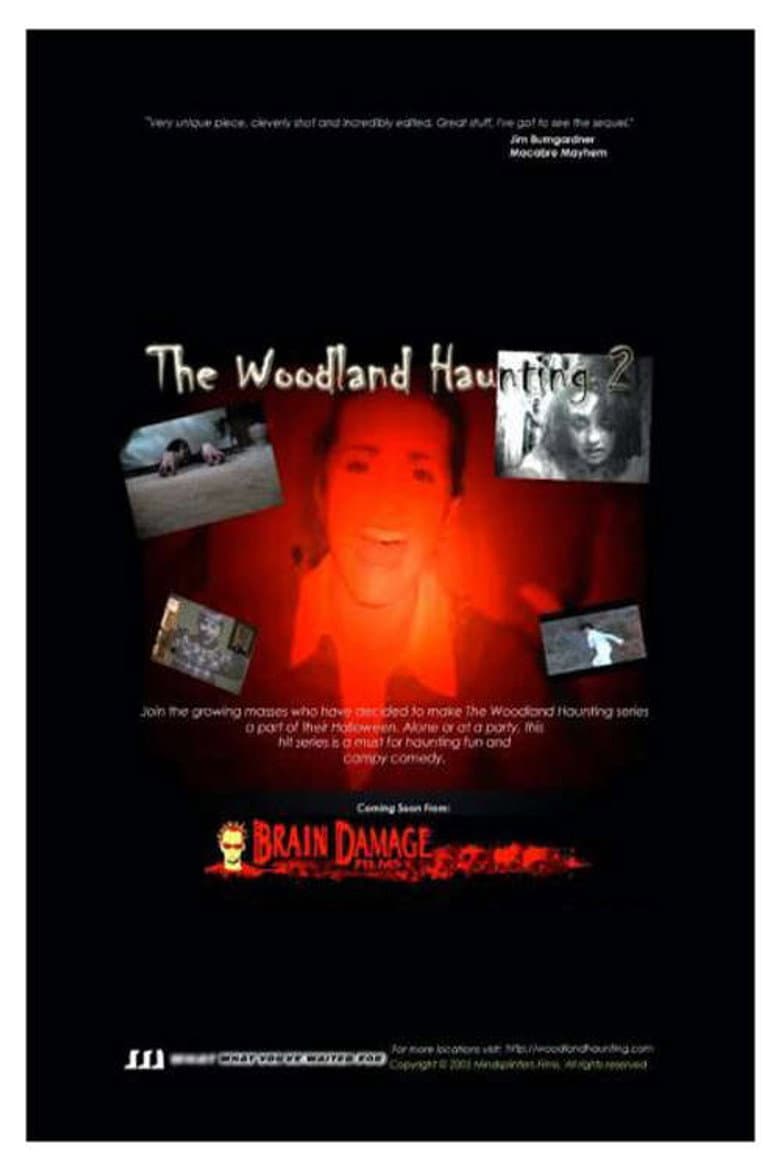 The Woodland Haunting 2 poster