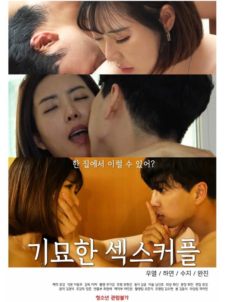 A Strange Sex Couple poster