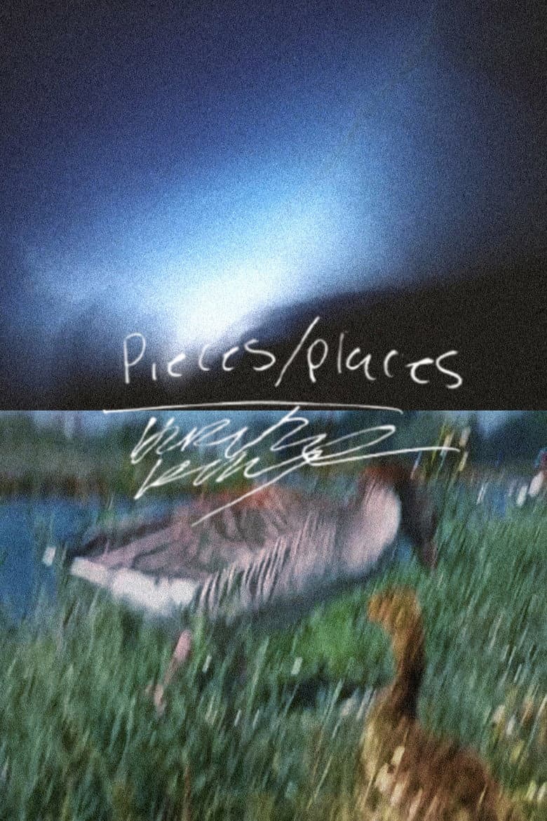 Pieces/Places poster