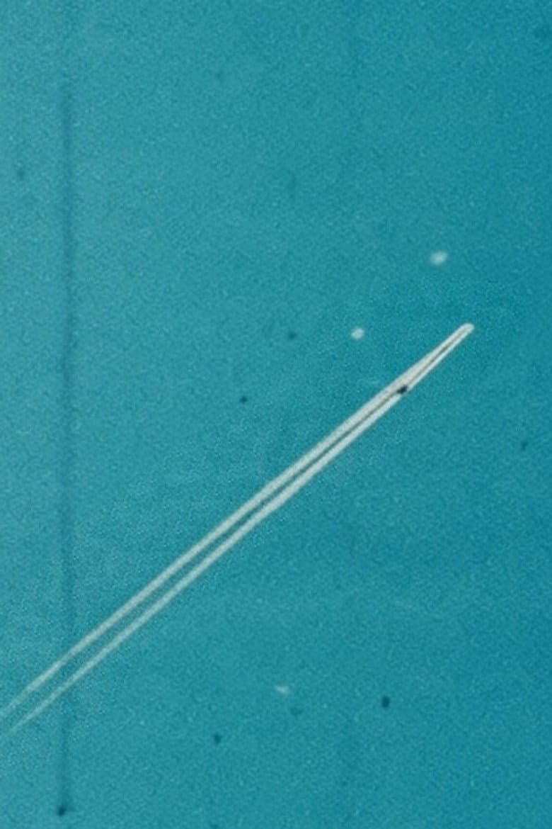 I Saw the Face of God in the Jet Wash poster
