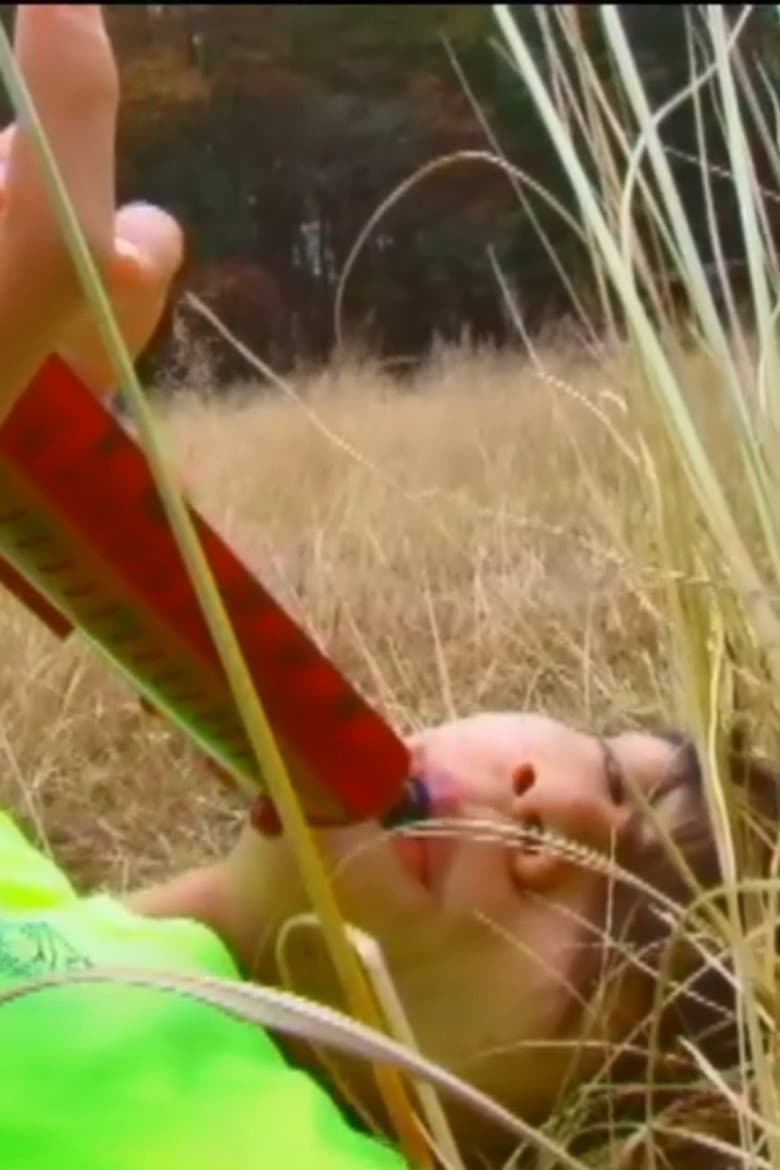 Wild Shaman Maiden poster