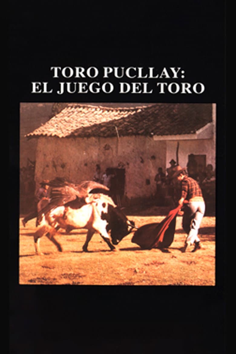 Toro Pucllay poster