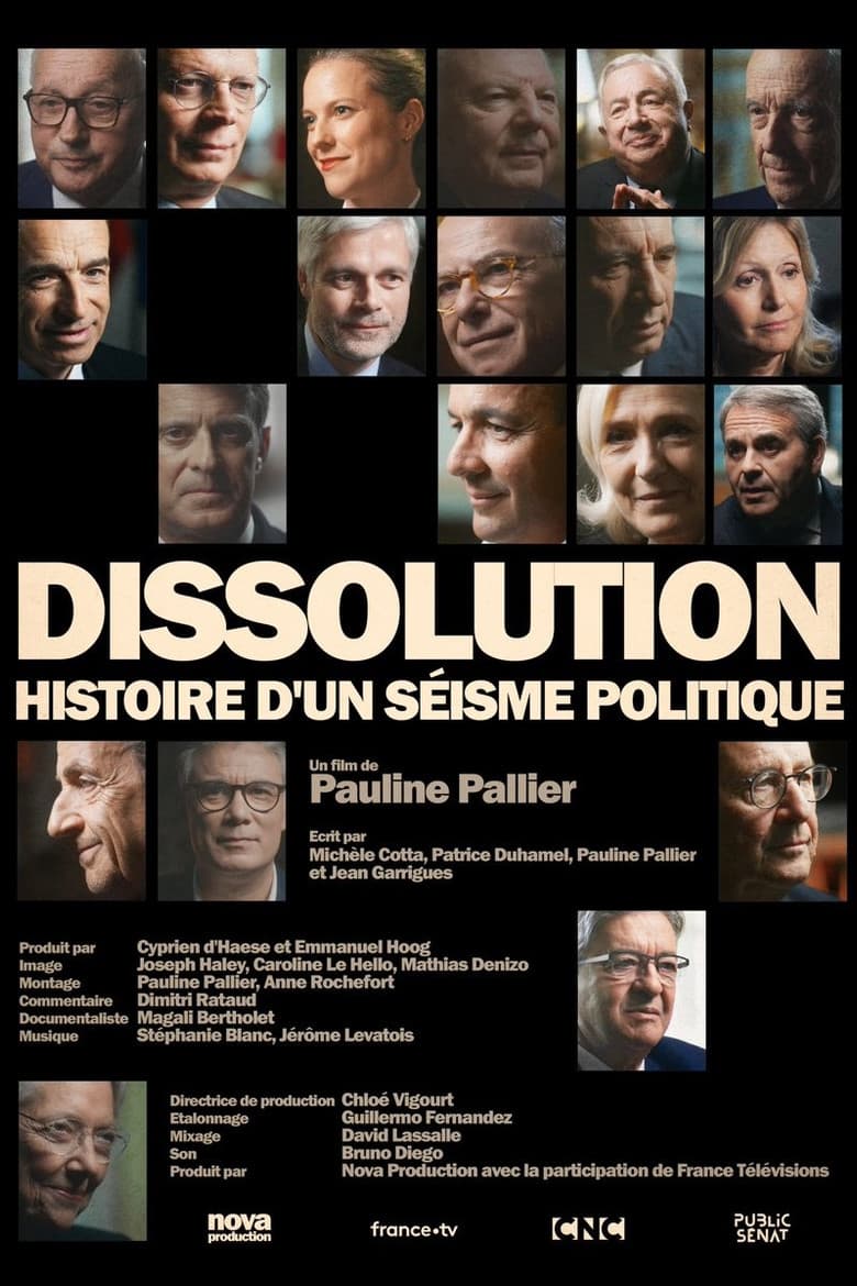 Dissolution, histoire d'un séisme politique poster