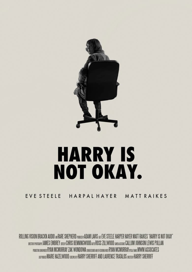 Harry Is Not Okay poster