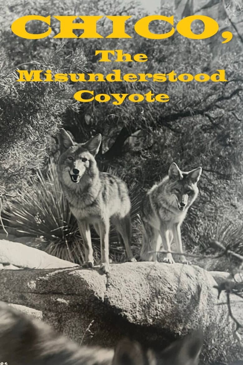 Chico, the Misunderstood Coyote poster