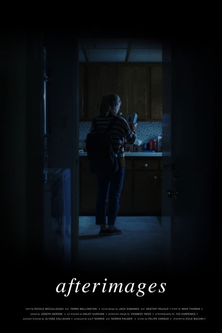 Afterimages poster