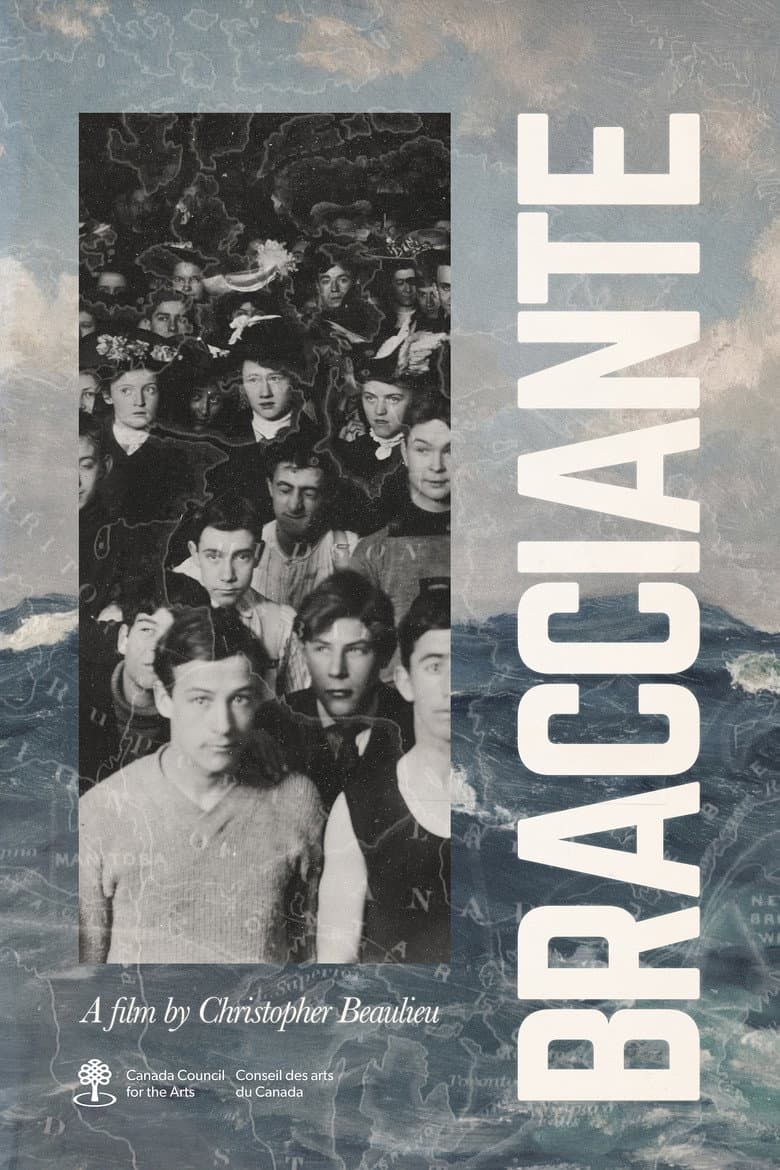 Bracciante poster