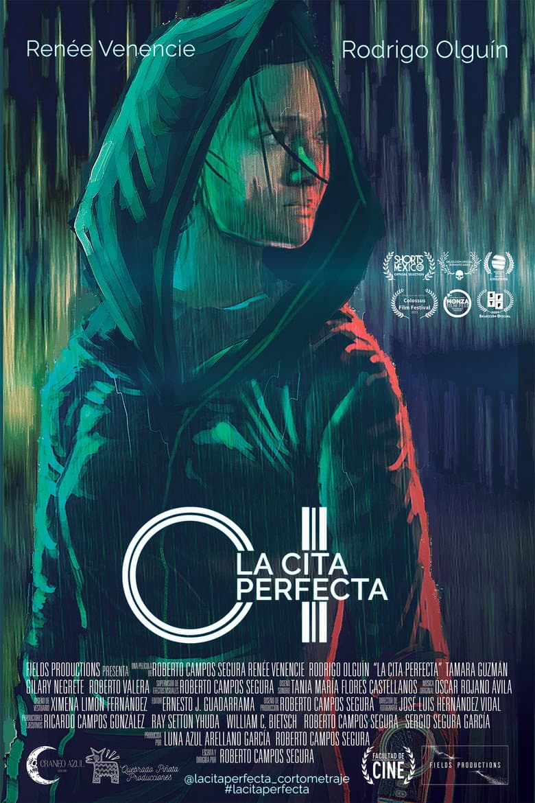 The Perfect Date poster