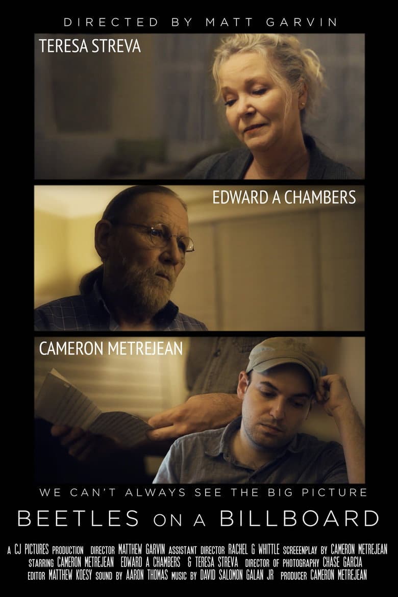 Beetles on a Billboard poster