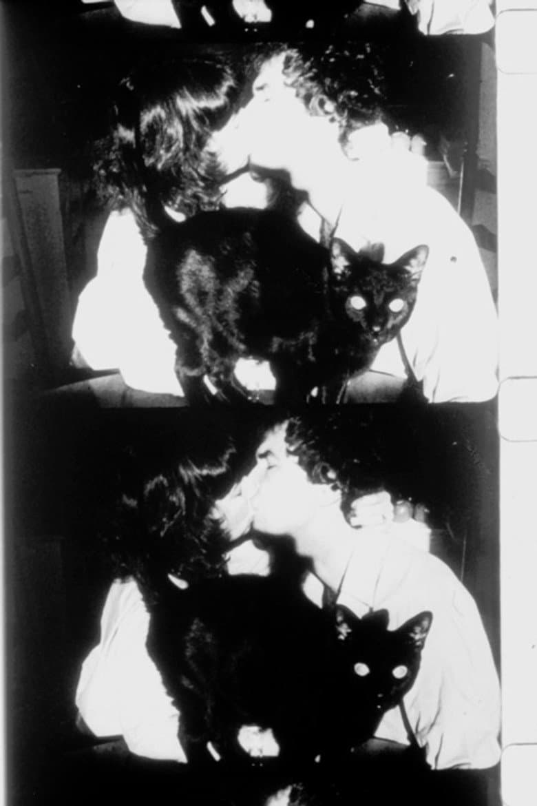 The Lighted Field poster