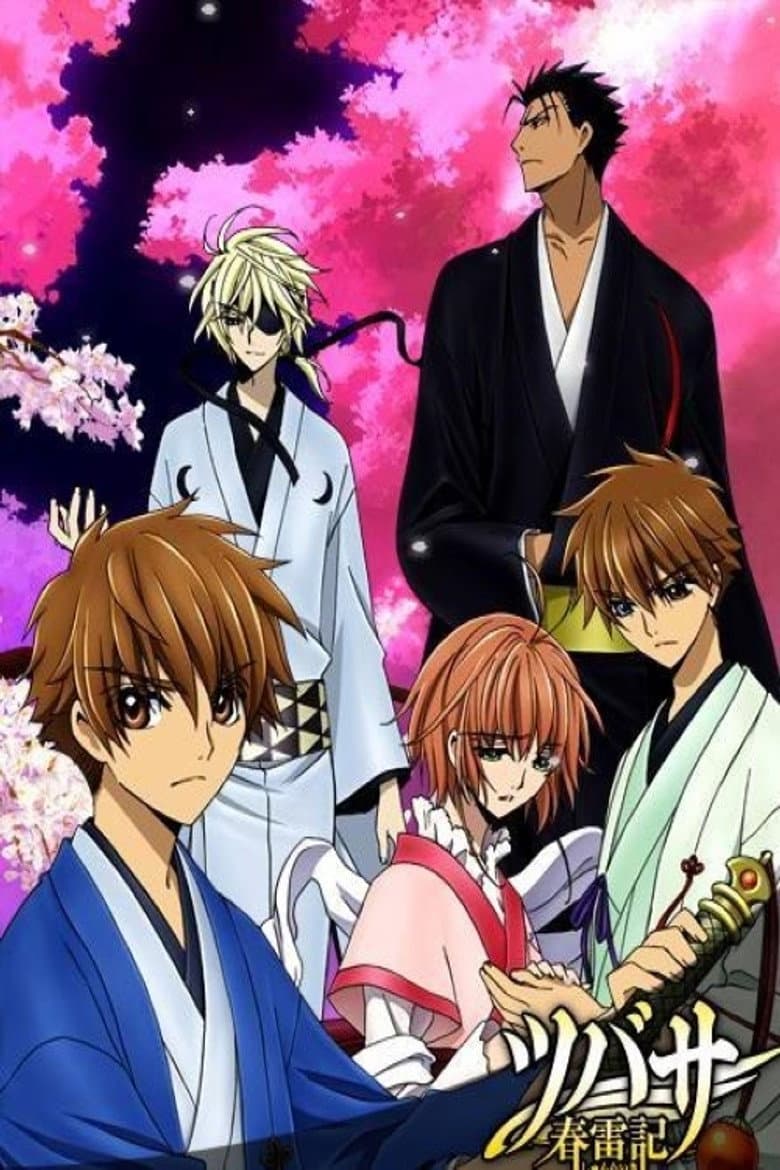 Tsubasa Chronicle: Shunraiki poster