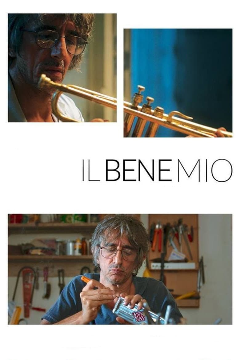 Il bene mio poster