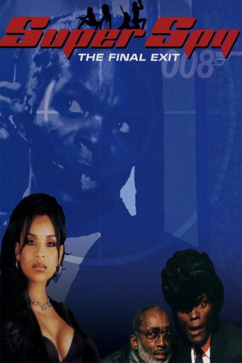 Super Spy: The Final Exit poster