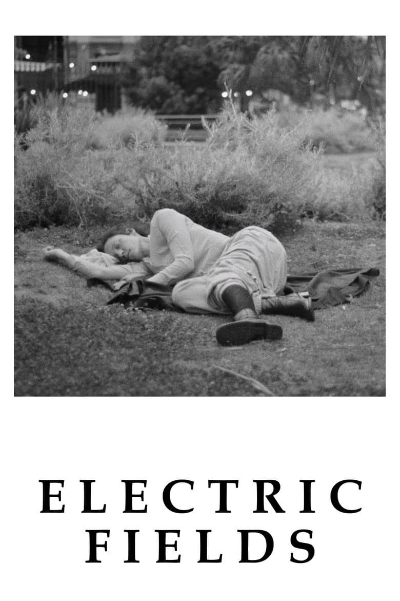 Electric Fields poster