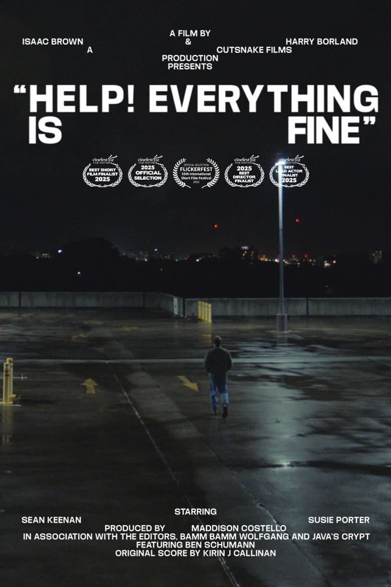 Help! Everything is Fine poster