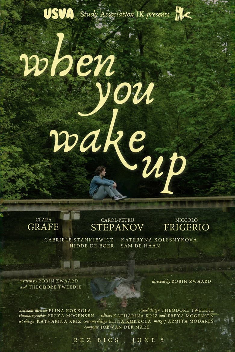 When You Wake Up poster