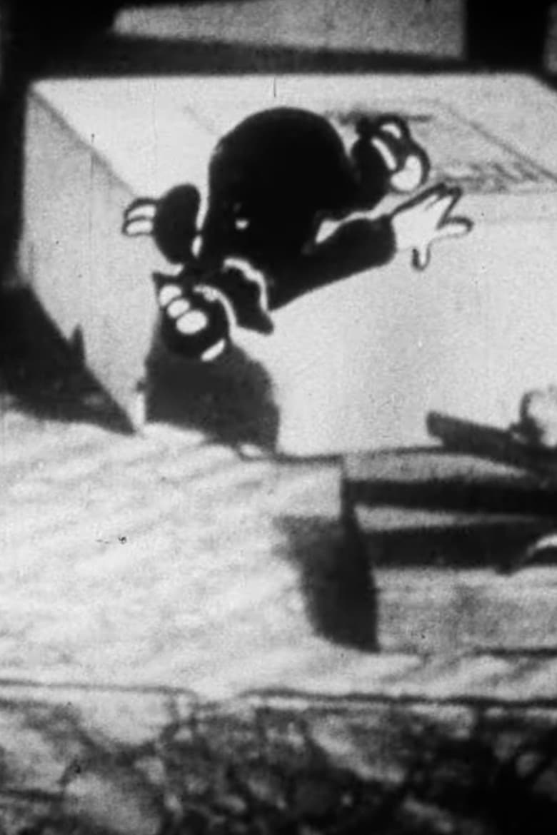 Koko's Big Catch poster