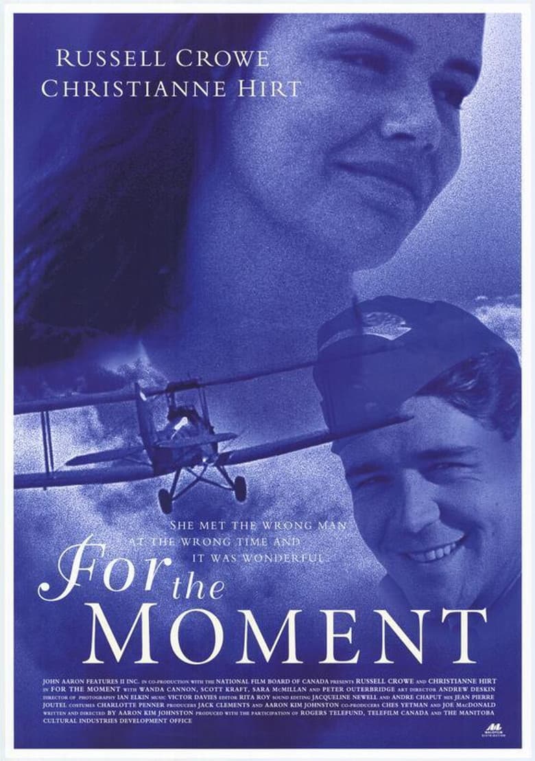 For the Moment poster