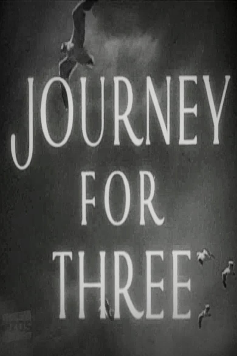 Journey for Three poster
