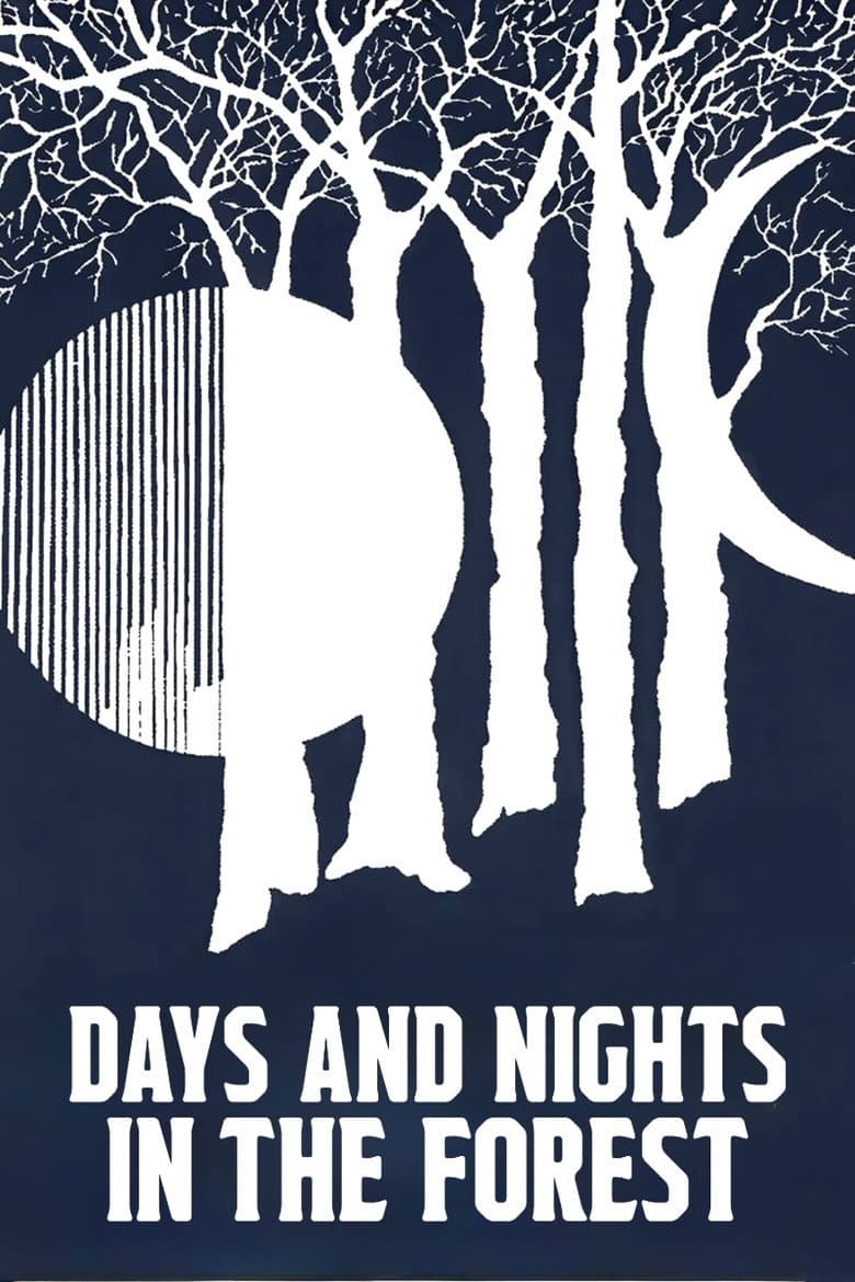 Days and Nights in the Forest poster