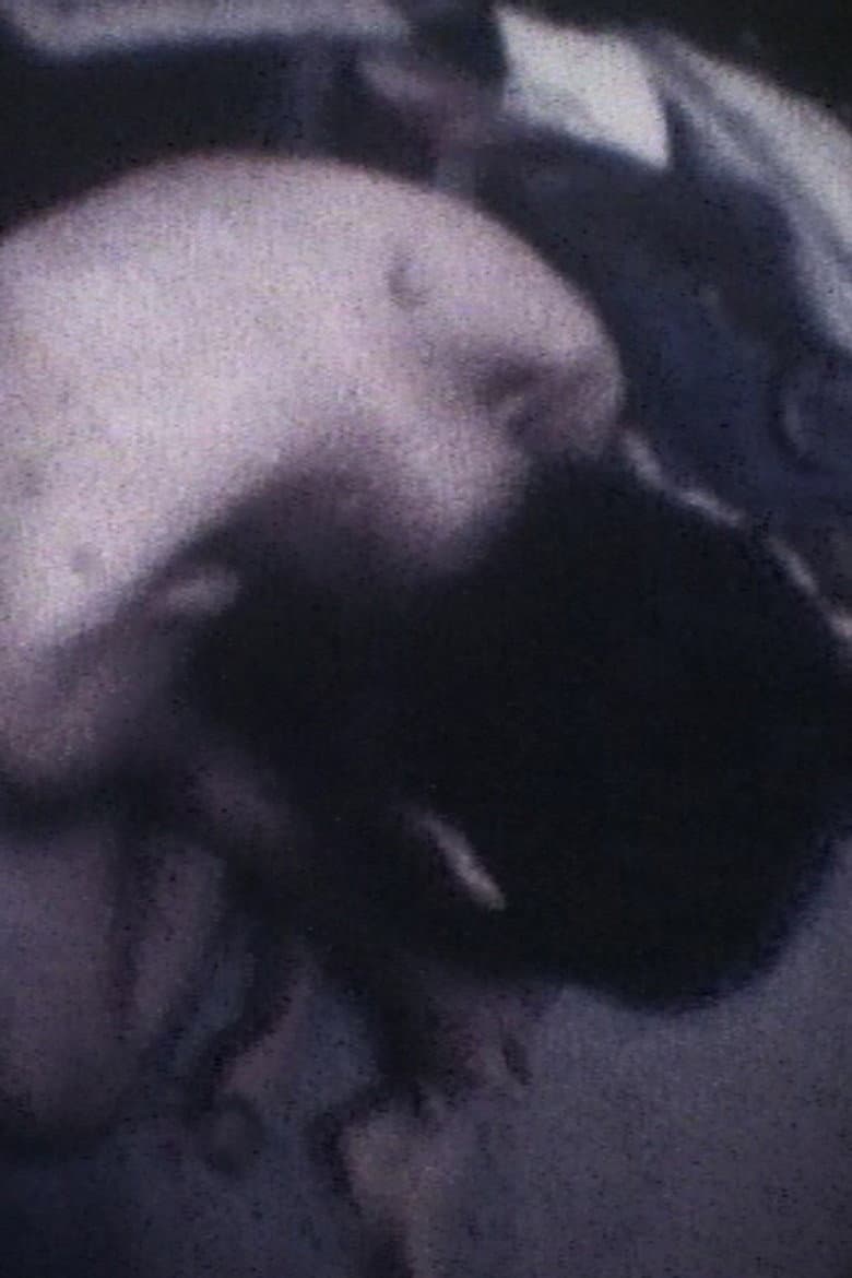 Film/Fragment for Strings, Percussion and Celesta poster