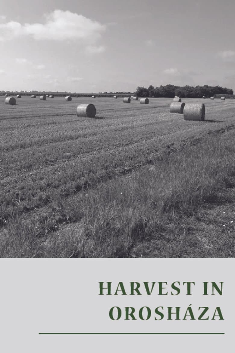 Harvest in Orosháza poster