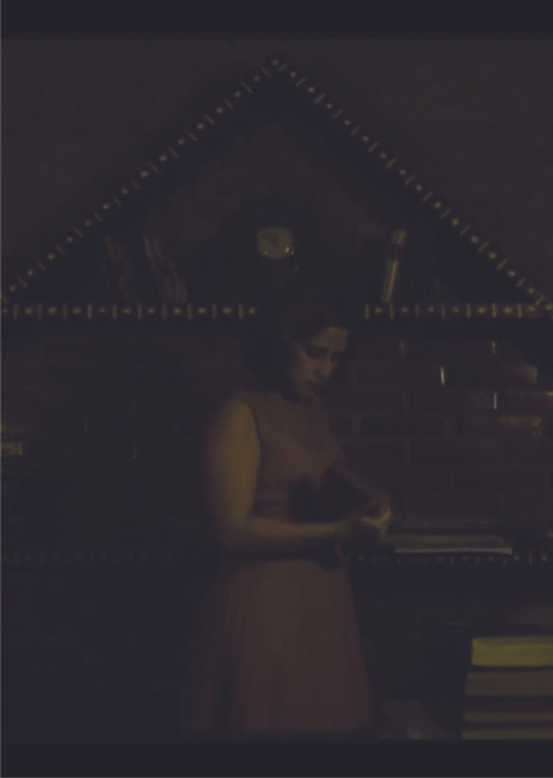 Páginas Da Loucura poster