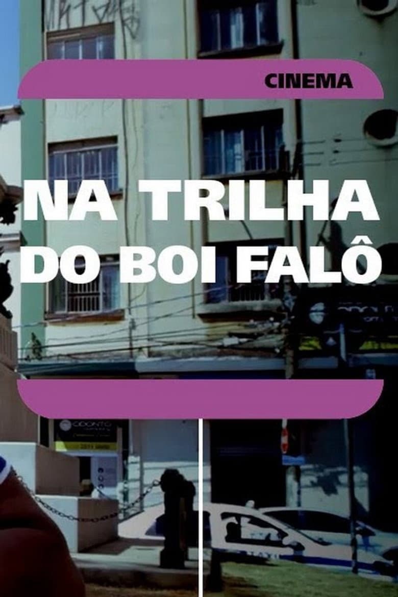 Na Trilha do Boi Falô poster