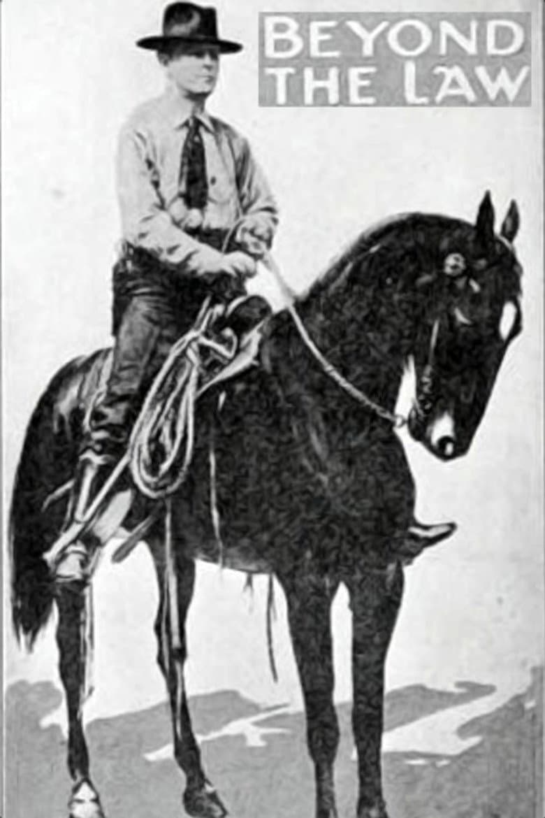 Beyond the Law poster