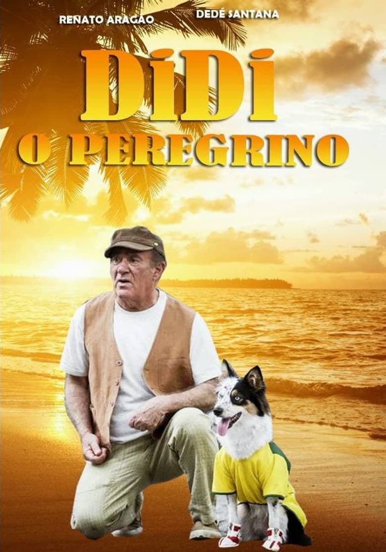 Didi the Pilgrim poster