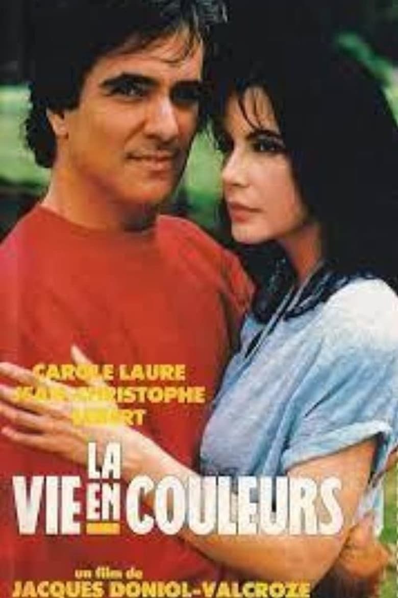 La vie en couleurs poster