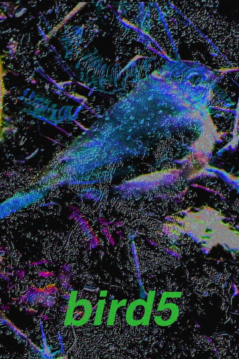 bird5.mp4 poster