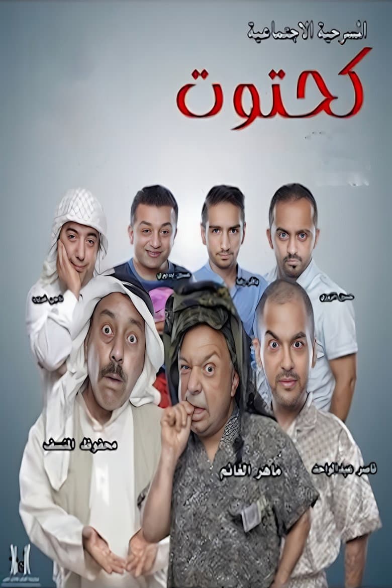 The Stingy Man poster