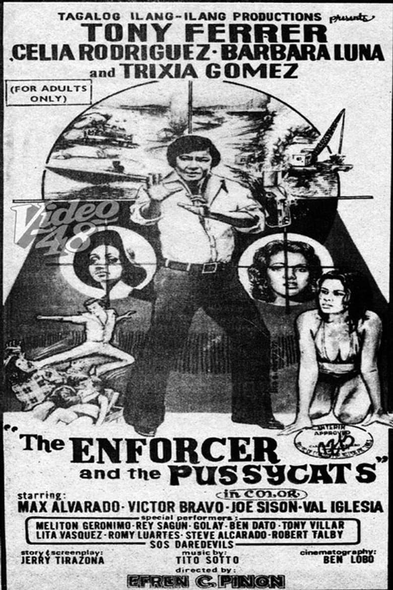 The Enforcer and the Pussycats poster