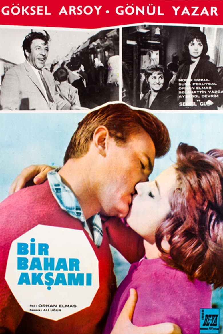 Bir Bahar Akşamı poster