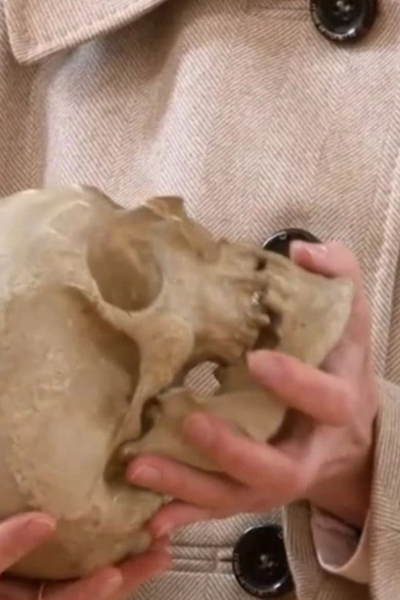 Leibnitz' Skull poster
